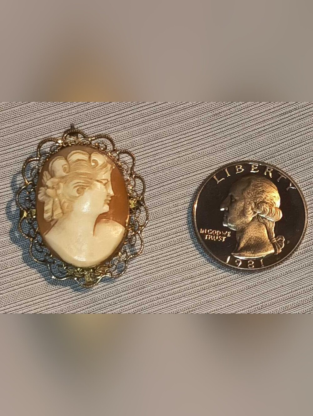 Vintage Cameo Brooch in Cream and Brown